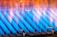 Hanworth gas fired boilers
